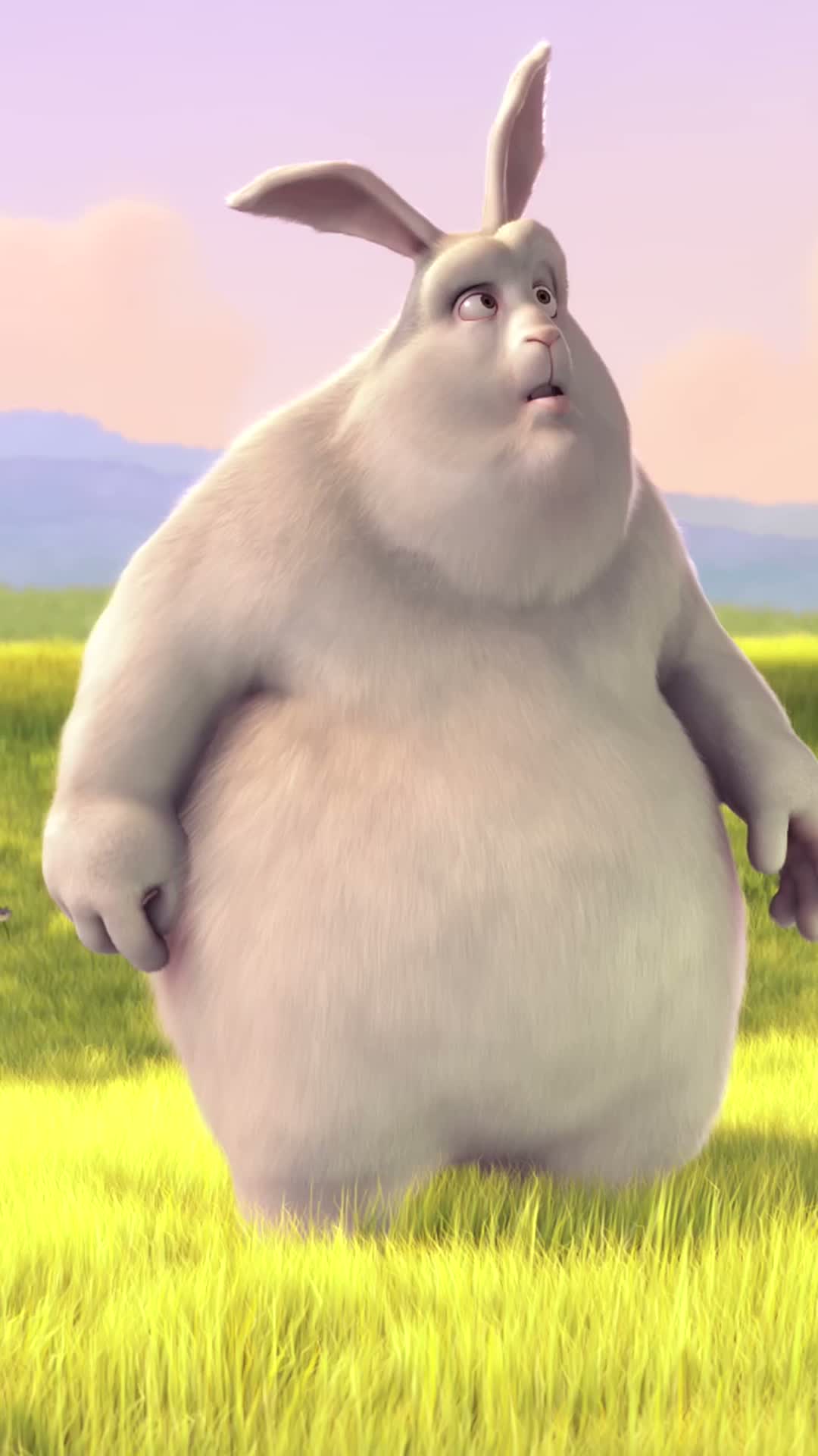 bbb_9x16.jpg