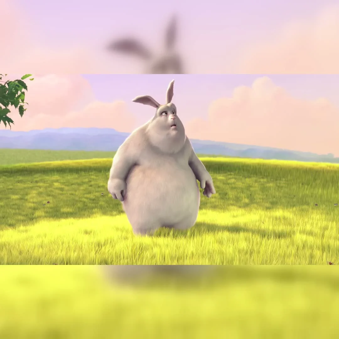 bbb_1x1_blur.webp