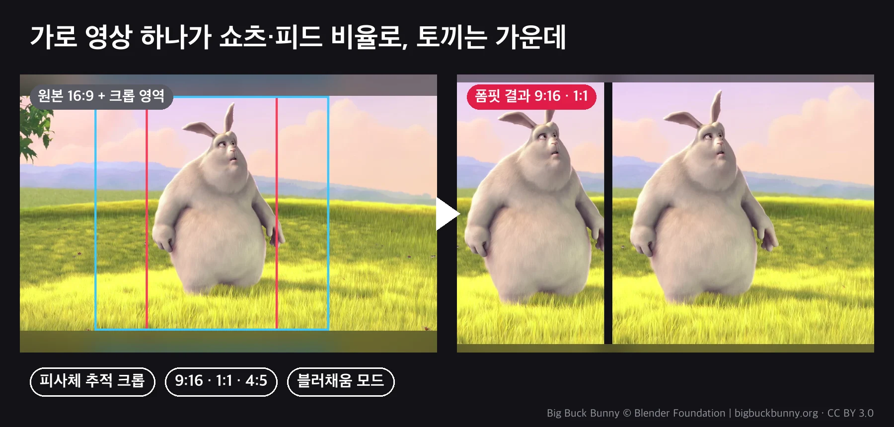 before_after.webp
