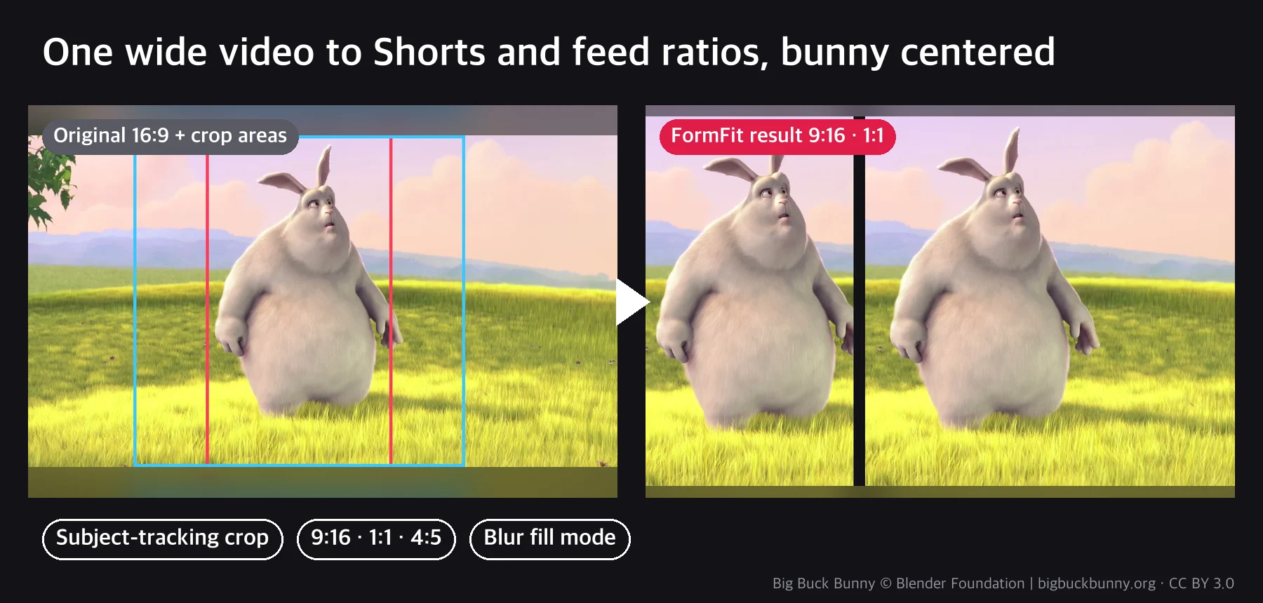 before_after_en.webp