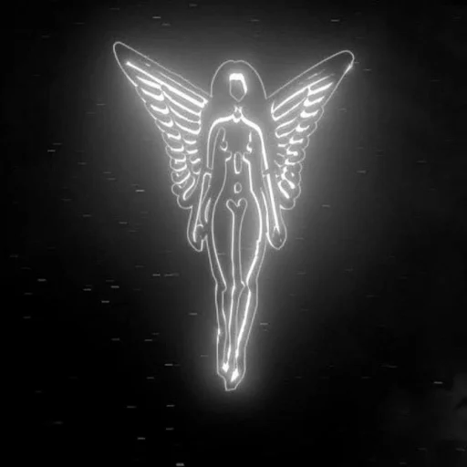 Veil